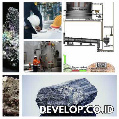 Extractive Metallurgy Process & Metal Extraction Refining Training