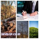 The Sustainable Forest Management Forum: Addressing Challenges and Exploring Opportunities