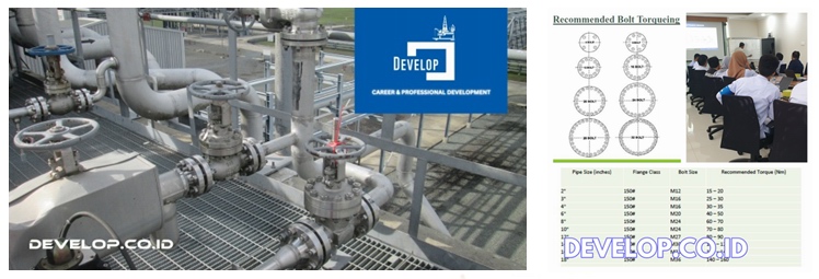 DEVELOP Flange Management&Bolt Tightening for Leak Prevention Training