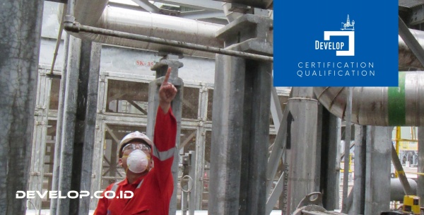 Project Control for Effective Progress Execution Training