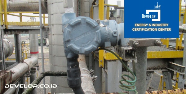 Petrochemical EPCIC (Engineering, Procurement, Construction, Installation, and Commissioning) Training