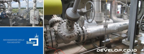 SMAW (Shielded Metal Arc Welding) 2G & 3G Training