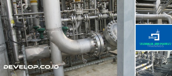 Certified Oil & Gas Welder BNSP / Juru Las Migas Training&Certification